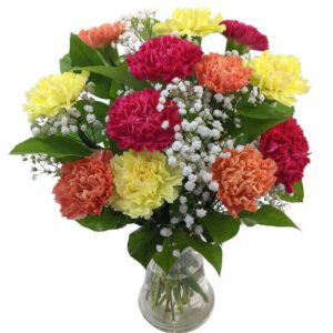 Mixed Carnations