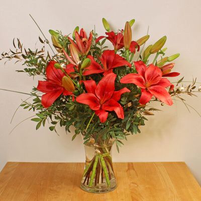 Festive Red Lilies