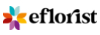 eflorist logo