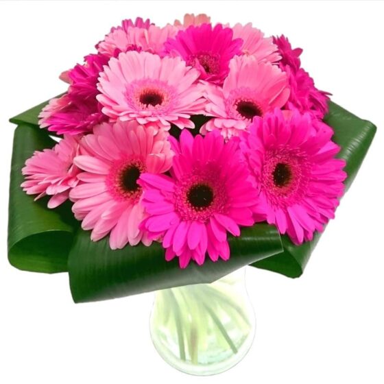 Gerbera Gem Bouquet