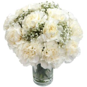 White Carnations