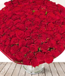 100 Red Roses