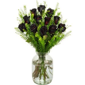 12 Black Roses