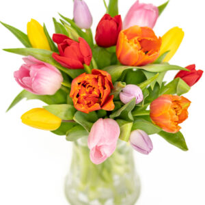 Bright Tulips