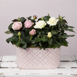 Mother’s Day Pink Planter