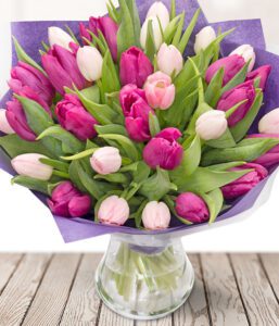 Simply Tulips