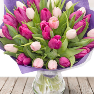 Simply Tulips