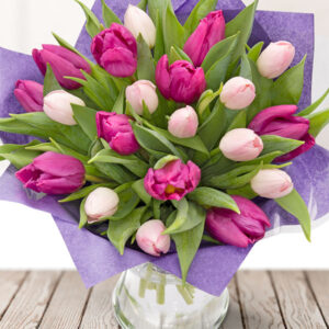 Simply Tulips