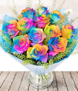 Rainbow Roses